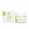 Green Tea Night Cream